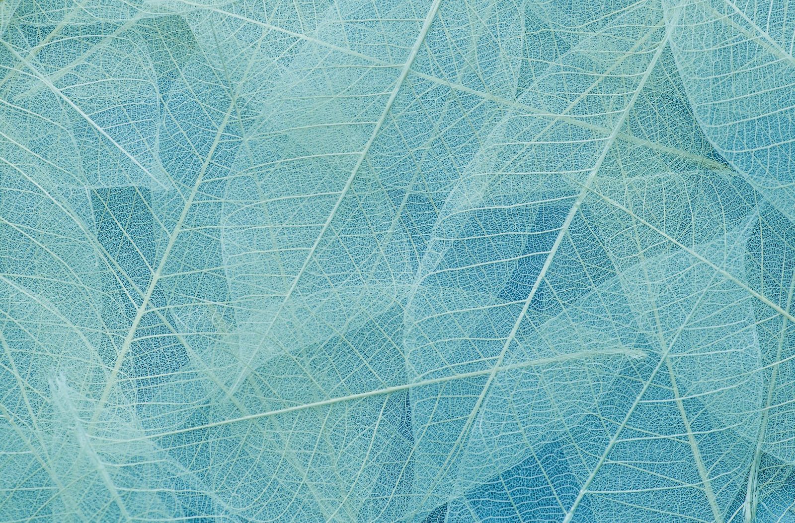 A close-up of blue, translucent netting with crisscross fibers forming a web-like pattern, filling the entire frame.